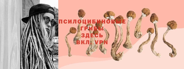 Альфа ПВП Армянск