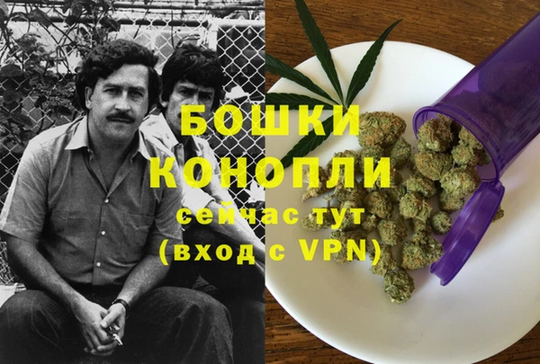 Альфа ПВП Армянск