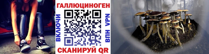 Псилоцибиновые грибы Psilocybe  Тайшет 